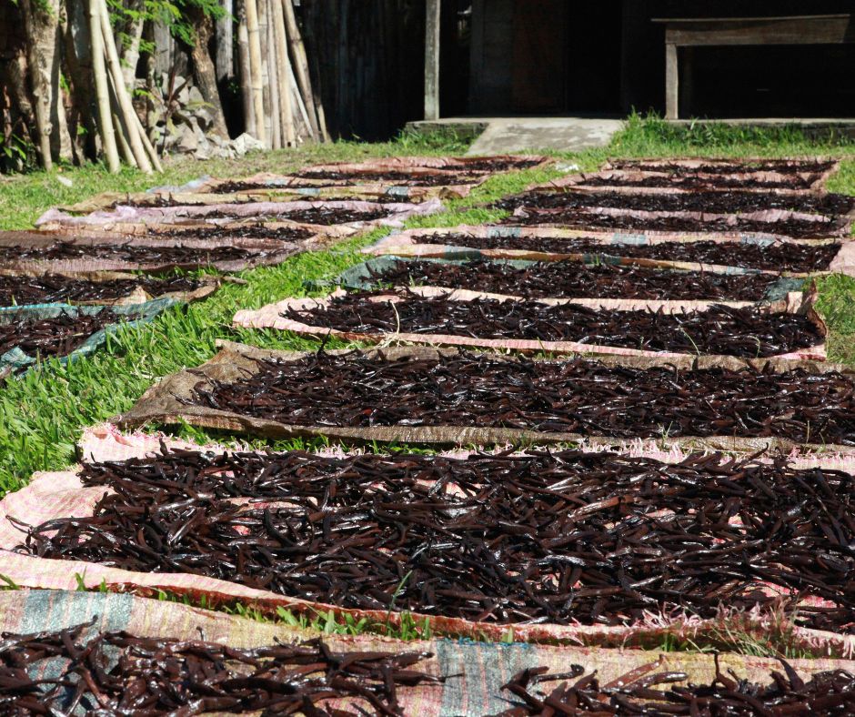 Africká mletá vanilka (kráľovská) - 33g